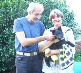 Banyo-Bandit de Geracao nova